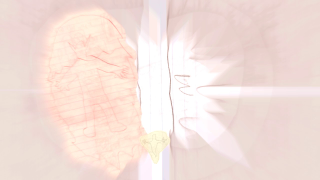 Spiral Bound Animated: Gas vs Fire